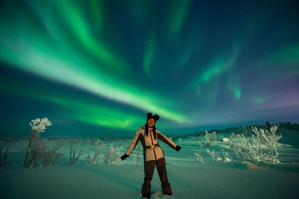 Rovaniemi: BBQ Picnic Experience Under Northern Lights - Booking Flexibility