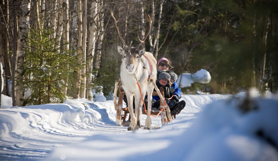 Rovaniemi: Evening Reindeer Safari - Last Words