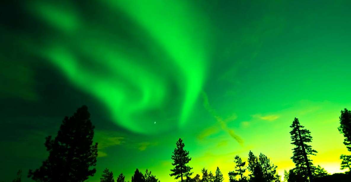 Rovaniemi: Guided Northern Lights Tour by Van - Customer Feedback and Recommendations
