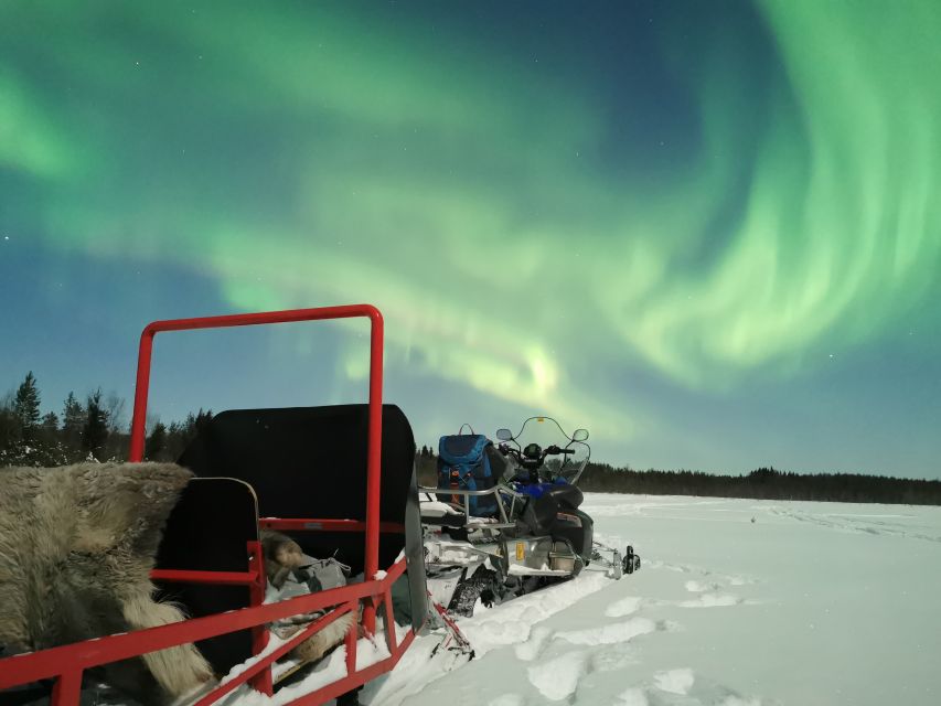 Rovaniemi: Northern Lights Sledge Ride - Additional Information