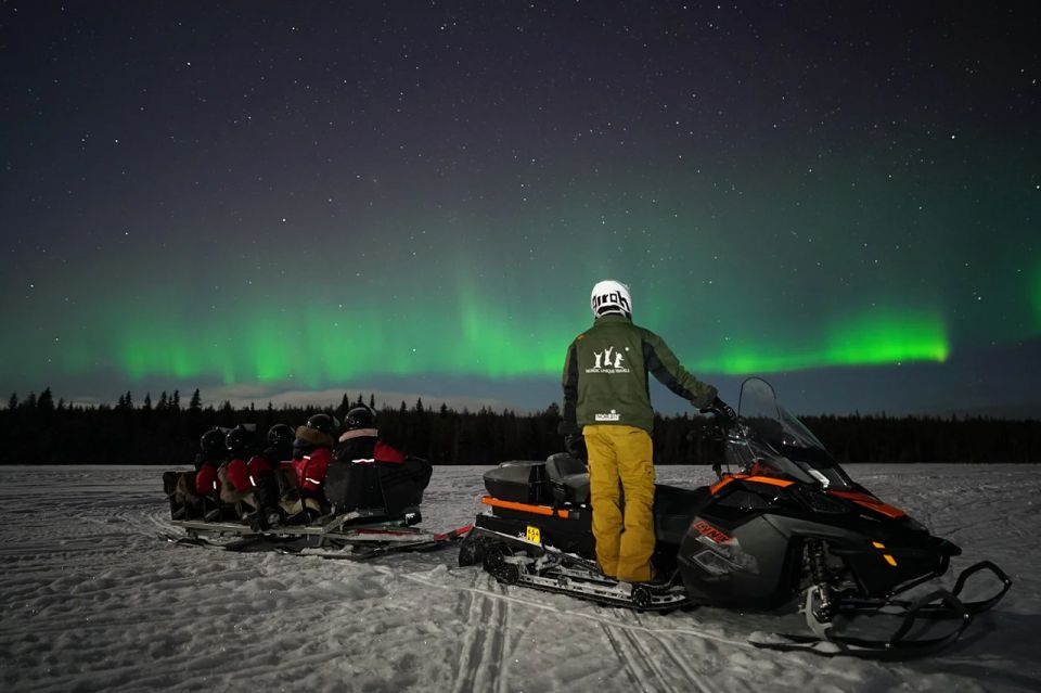 Rovaniemi: Northern Lights Sleigh Ride - Booking Information