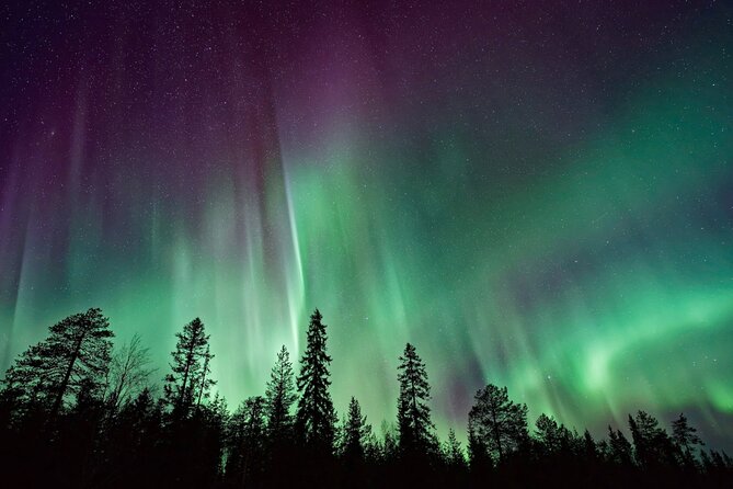 Rovaniemi: Private Aurora Tour With Guaranteed Sightings - Reviews Summary