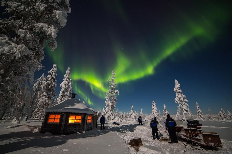 Rovaniemi: Private Forest Sauna and Northern Lights Tour - Highlights