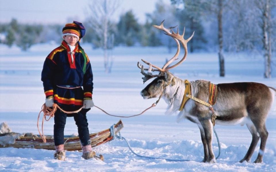 Rovaniemi: Reindeer Farm Tour With Sledge Ride & Pickup - Highlights of the Tour