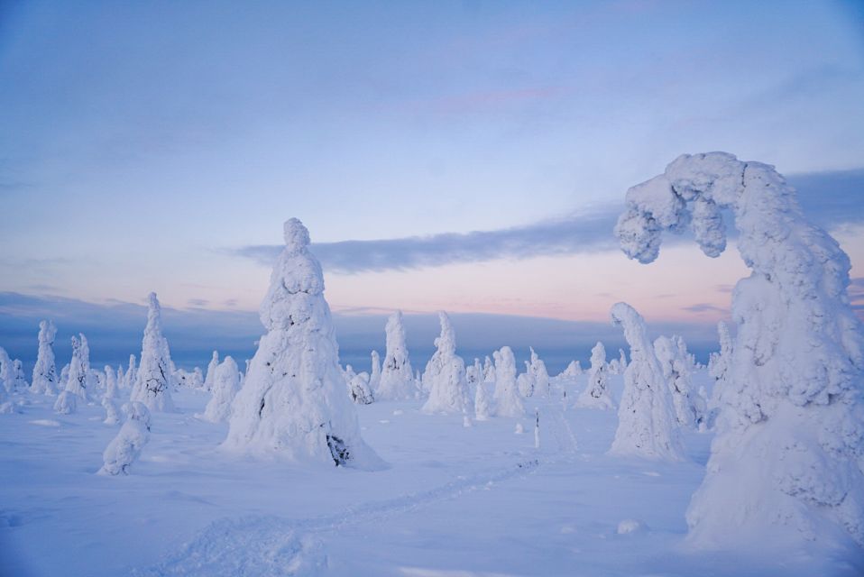 Rovaniemi: Riisitunturi National Park Day Trip With Lunch - Important Information