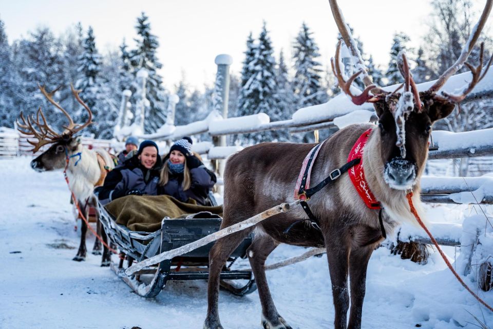 Rovaniemi: Santa Claus Village, Husky & Reindeer Sled Ride - Customer Reviews