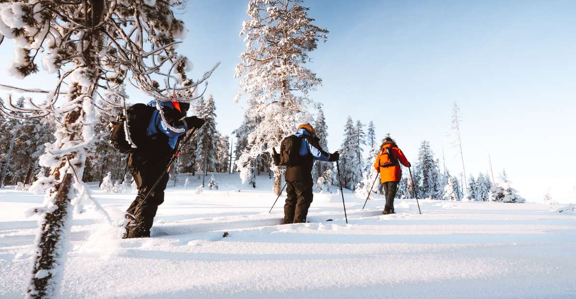 Rovaniemi: Ski Trekking Safari in Lapland - Booking Information