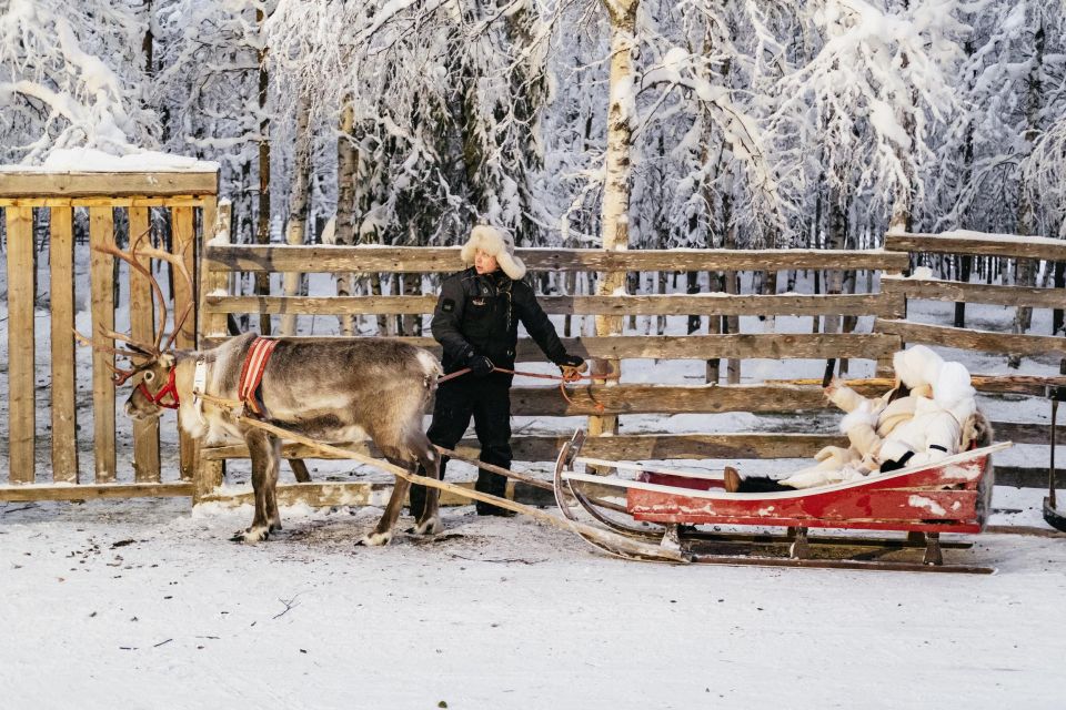 Rovaniemi: Snowmobile Safari, Reindeer & Husky Sleigh Ride - Customer Reviews