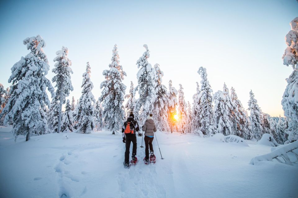 Rovaniemi: Snowshoe Wilderness Adventure - Photography and Wildlife