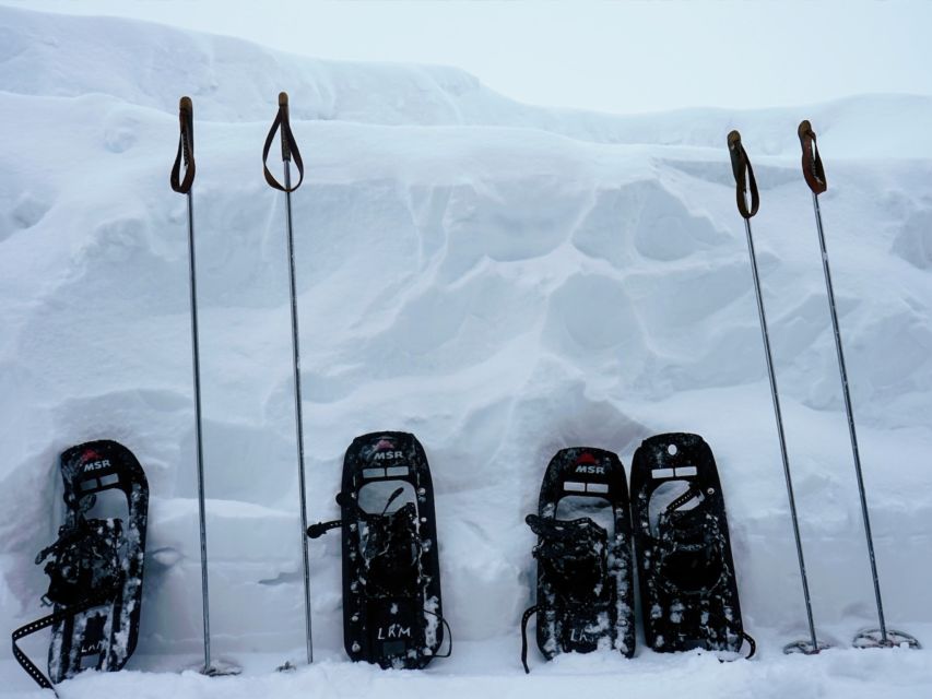 Rovaniemi: Wilderness Snowshoes Expedition Tour & Barbeque - 5. Inclusions