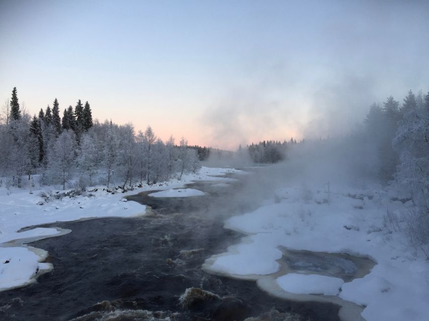 Rovaniemi: Wilderness Tour - Review Summary
