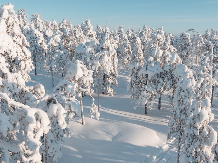 Rovaniemi: Winter Wonderland Vikaköngäs Hike & Barbeque - Full Description