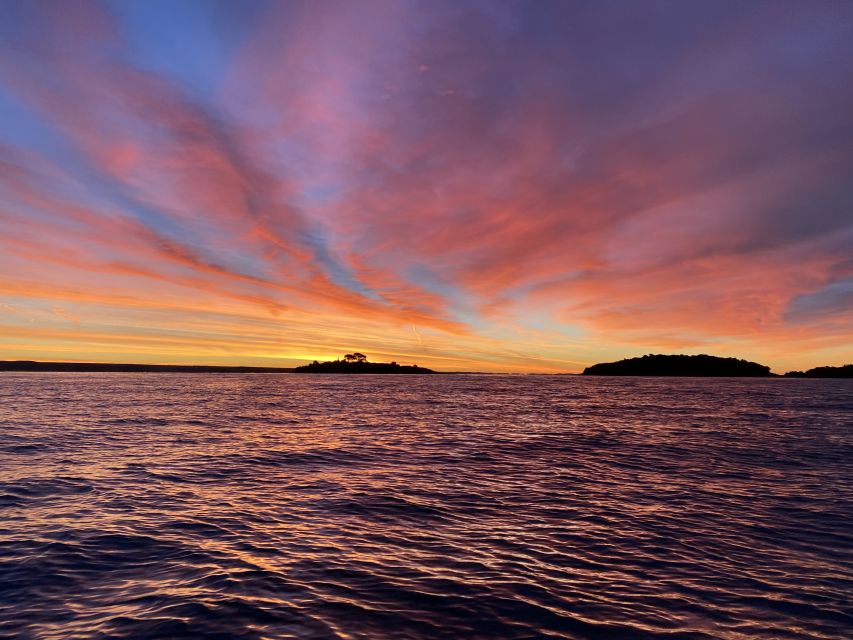 Rovinj: Sunrise Dolphin-Watching Speedboat Tour - Tour Description