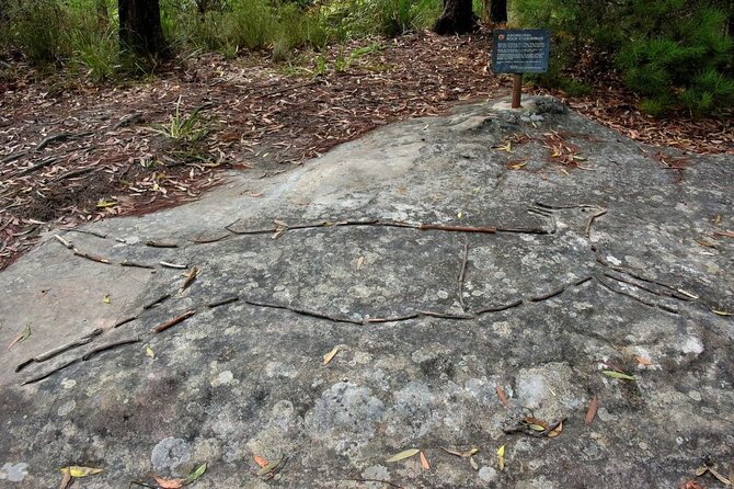 Royal National Park Hike, Swim and Wildlife Tour - Picnic and Rest Areas