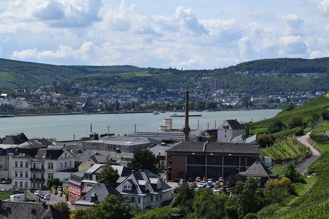 Rudesheim Private Walking Tour With A Professional Guide - Contact Details for Booking