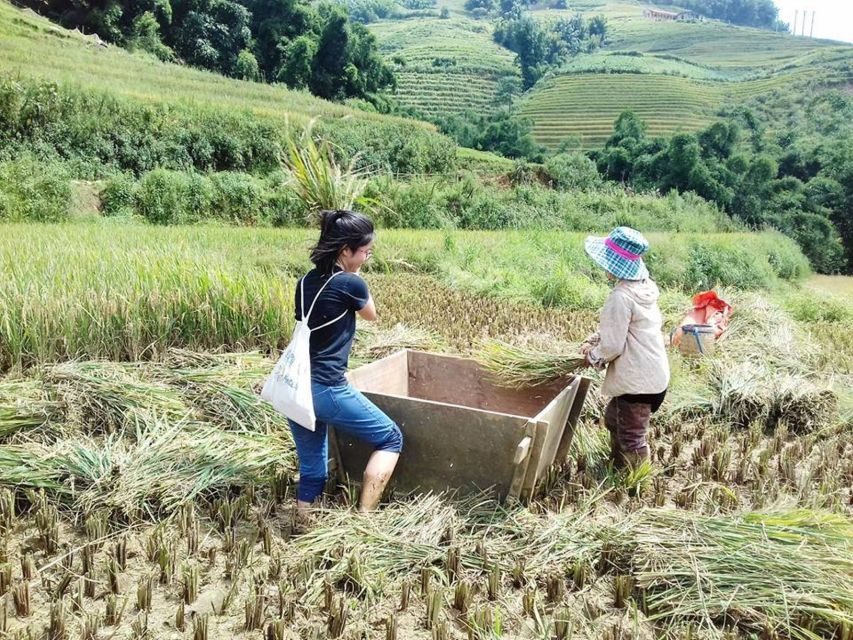 Sa Pa: Muong Hoa Valley Trek and Local Ethnic Villages Tour - Positive Feedback