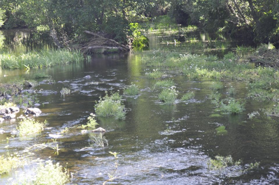 Sabugal: Stories of the Côa and Its Castle, Walking Tour - Logistics