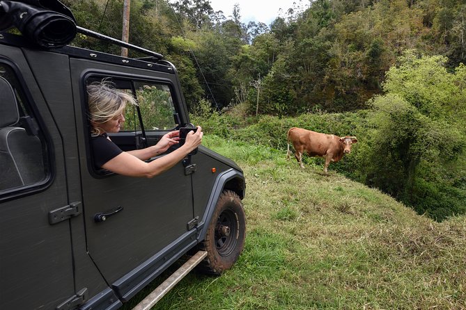 Safari 4x4 Pico Arieiro Santana in Small Group "FlowerEAST" - Guides Expertise