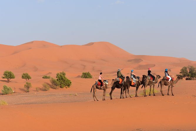Sahara Camel Ride Overnight Excursion From Merzouga - Participant Information