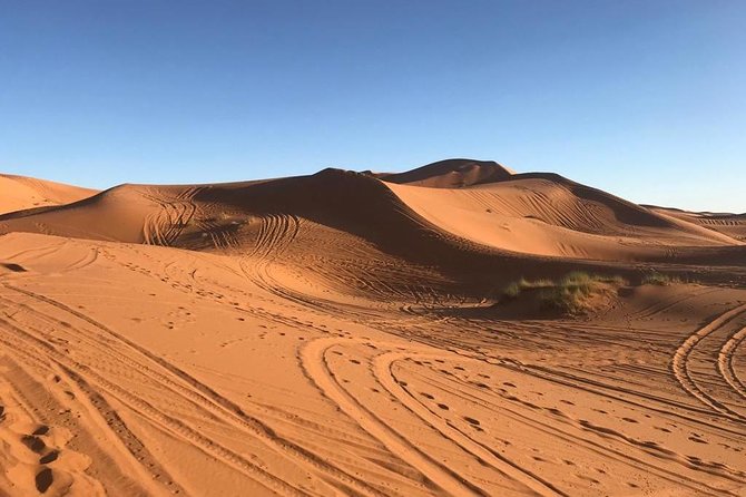 Sahara Desert 3 Days Trip From Marrakech to Fez - Highlight Activities and Experiences