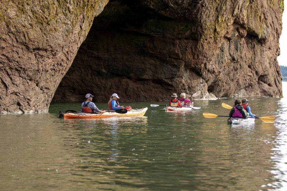 Saint John: Bay of Fundy Guided Kayaking Tour With Snack - Customer Reviews and Testimonials