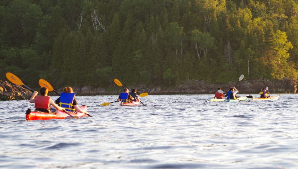 Saint John River: River Relics Kayak Tour - Location and Product Information