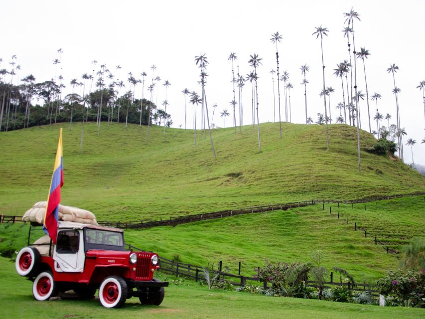 Salento, Cocora and Filandia Tour From Pereira or Armenia - Location Visits