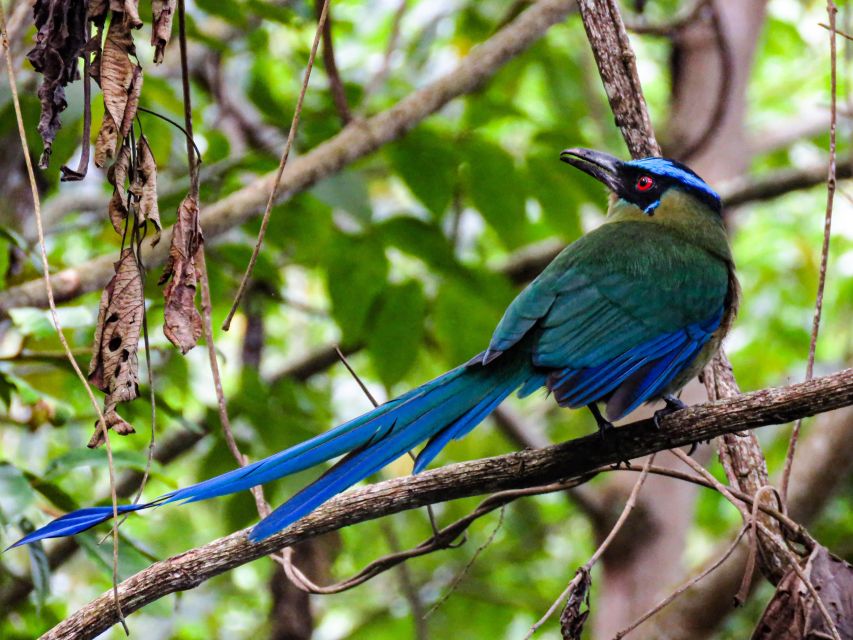 Salento: Private Birding Tour for Beginners and Intermediate - Additional Activities