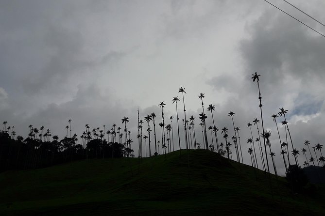 Salento Valle Del Cocora and Filandia - Sustainable Tourism Practices