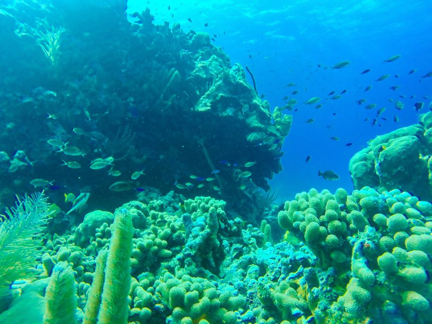 San Andrés: Guided Cays and Mangroves Tour - Tour Highlights