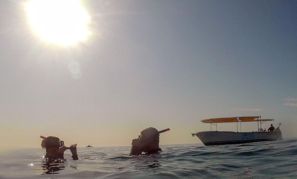 San Jose Del Cabo Private Snorkeling Tour - Location and Environment