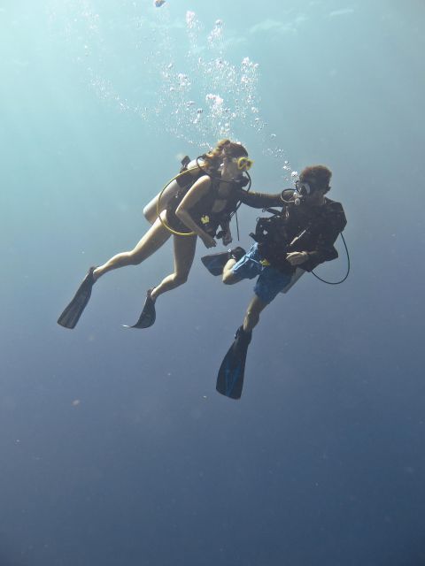San Miguel De Cozumel: Open Water Scuba Diving Course - Participant Requirements