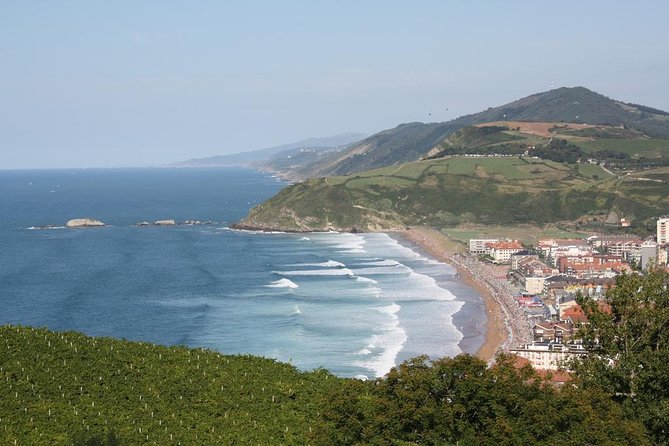 San Sebastián, Txakoli Winery and Coastal Villages. Maximum 4 Persons. - Common questions