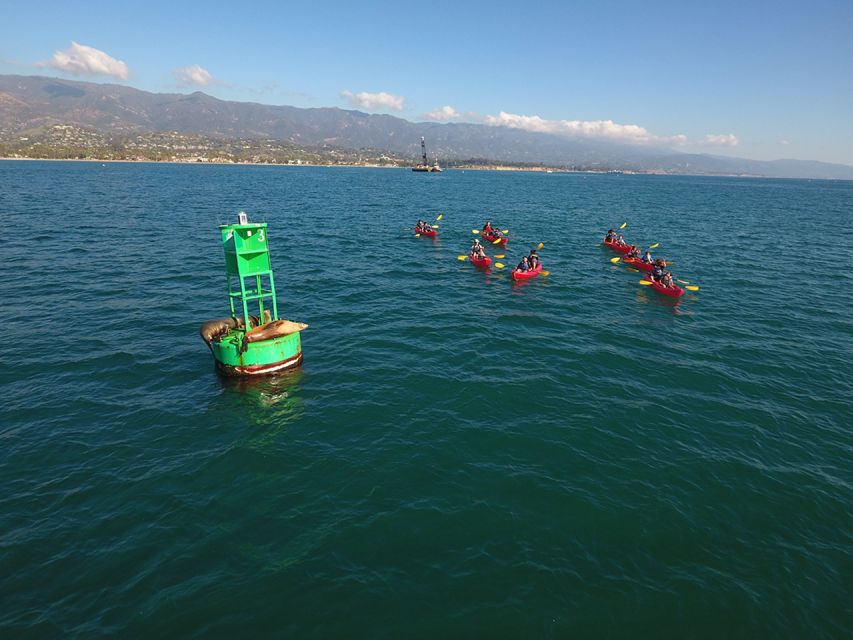 Santa Barbara: Guided Sea Lion Kayaking Tour - Inclusions