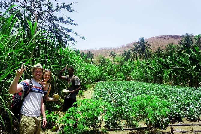 Santiago Island: Banana Plantation, Natural Park & Workshop With a Local Family - Pricing and Booking Details