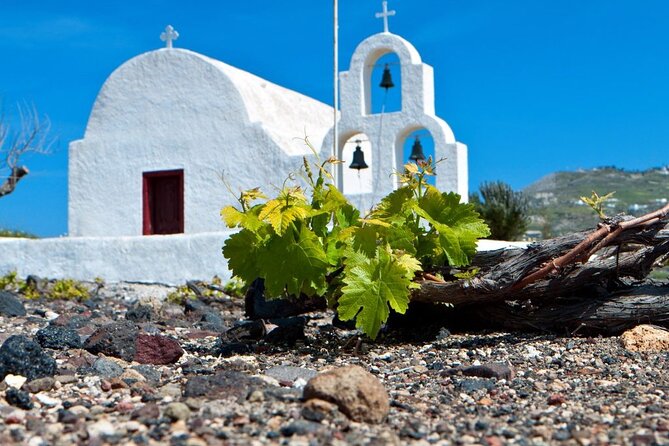 Santorini Wine and Wineries Tour - Insider Tips