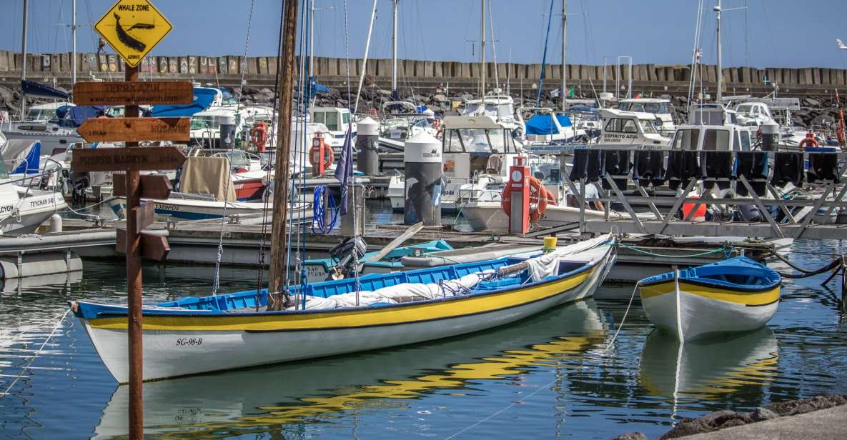 São Miguel: Azorean Whalers Heritage Tour - Whaling History and Boat Visit