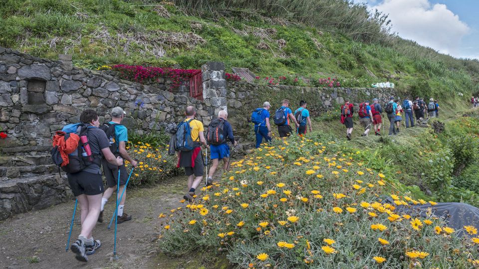 São Miguel: Ribeira Funda Hike & Tea Plantation With Lunch - Inclusions