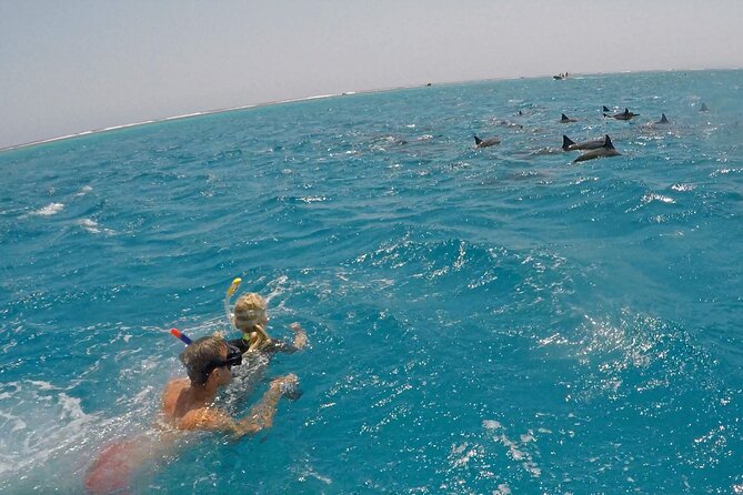 Sataya Dolphin House Snorkel Trip - Marsa Alam - Common questions