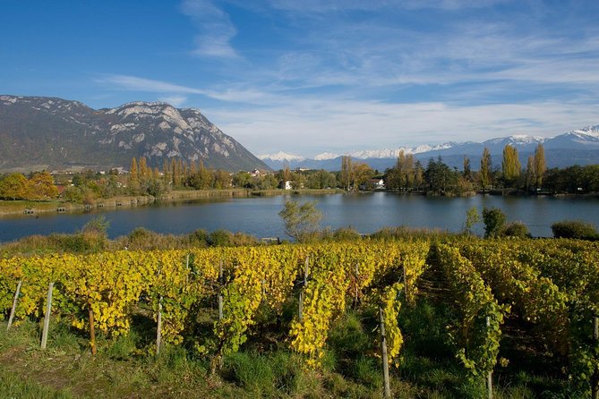 Savoyard Vineyards Tour (8 Hours) - Private Driver - From Annecy - Booking Information