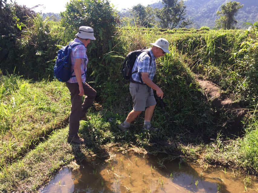 Scene of Sidemen Trekking - Exploring Local Village Life and Temples