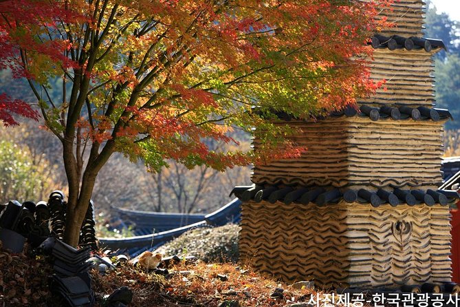 Scenic Jiri Mountain Autumn Foliage One Day Tour - Tour Guide Information