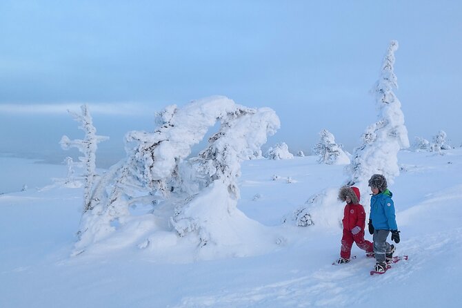 Scenic Snowshoeing on the Top of Pyhä Fell - Last Words