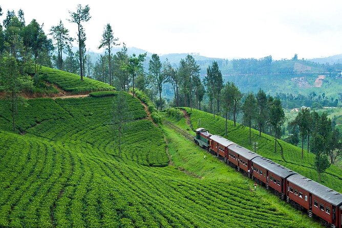 Scenic Train Ride to Ella From Kandy - Travel Tips