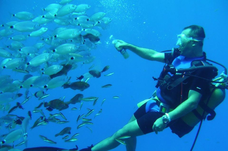 Scuba Diving: Explore the Depths of Alanya - Pricing and Reservation Details