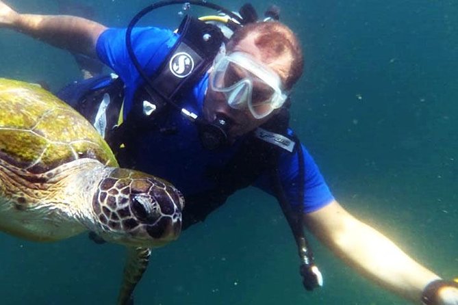 Scuba Diving in Fujairah - What To Expect During Diving