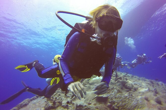 Scuba Diving Tour in Antalya With Lunch and Transfer - Cancellation Policy