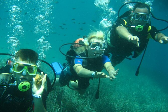 Scuba Diving Tour - Cancellation Policy and Refunds