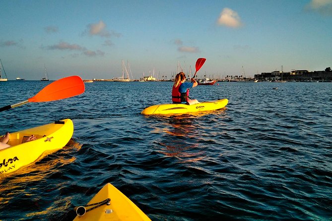 Sea Kayaking in Cascais Bay, Lisbon - Private Group - Cancellation Policy