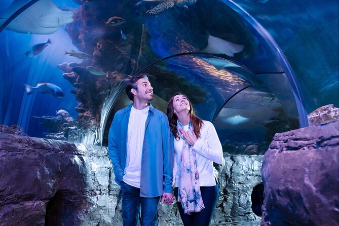 SEA LIFE Aquarium Minnesota Admission Ticket at Mall of America - Special Features and Exhibits